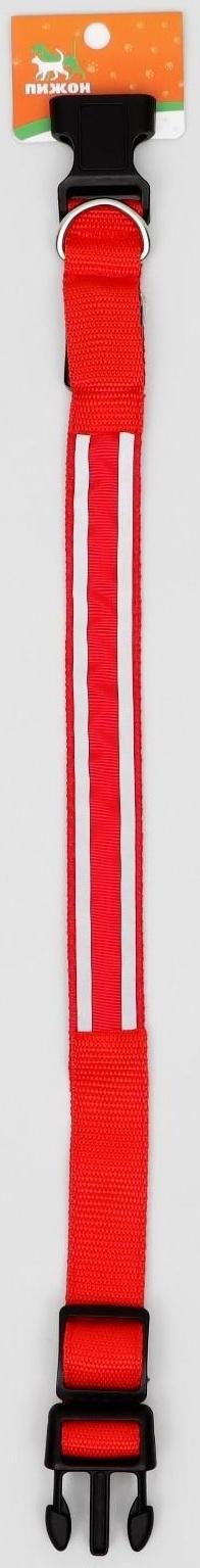 Ошейник с подсветкой, S, 38-40 см, 3 режима свечения, красный
