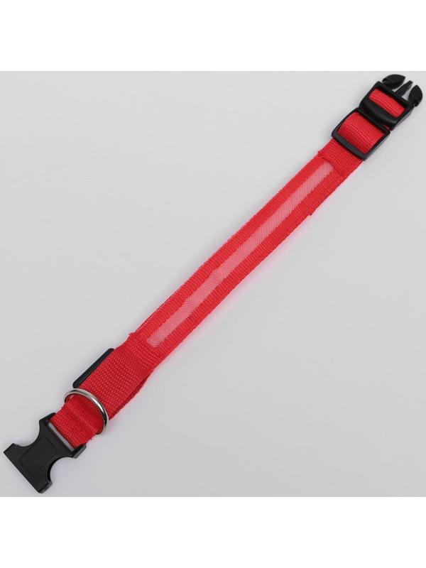 Ошейник с подсветкой, S, 38-40 см, 3 режима свечения, красный