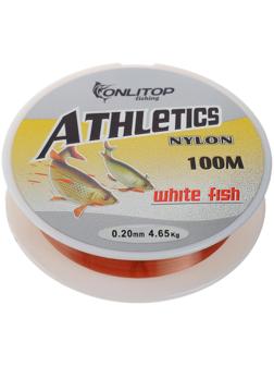 Леска White fish, d=0,20 мм, 100 м