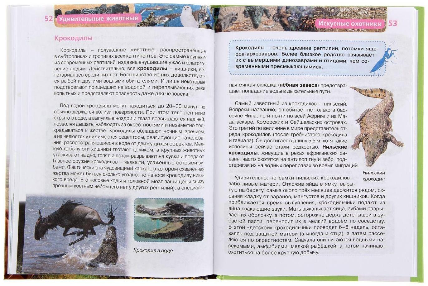 Детская энциклопедия «Удивительные животные»