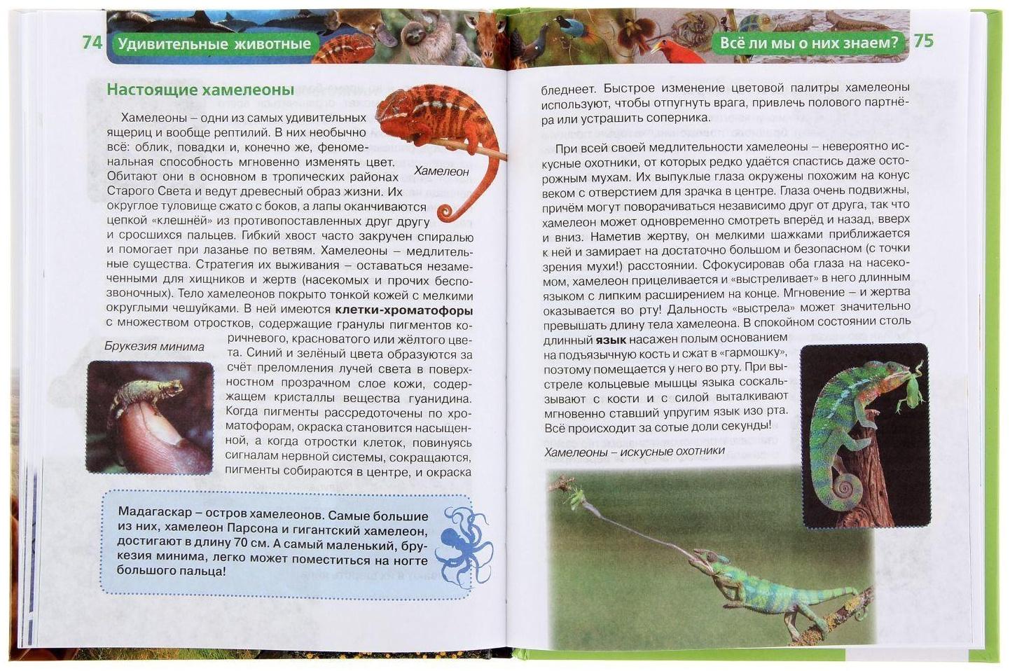 Детская энциклопедия «Удивительные животные»