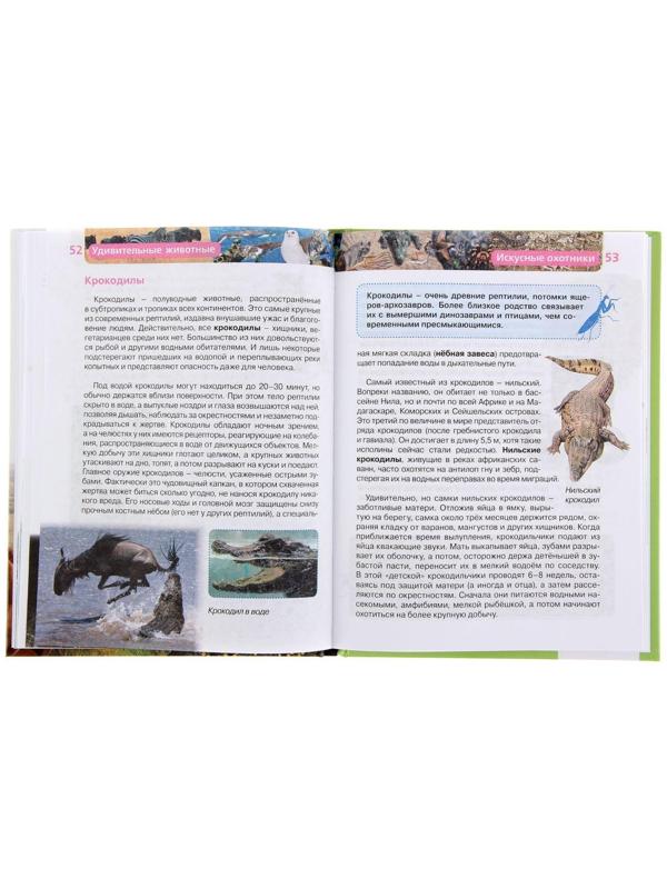 Детская энциклопедия «Удивительные животные»