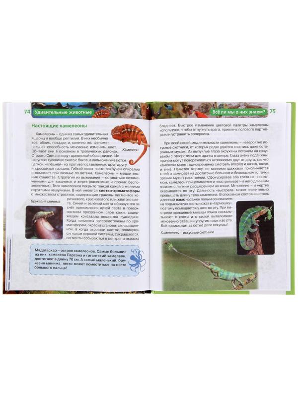 Детская энциклопедия «Удивительные животные»