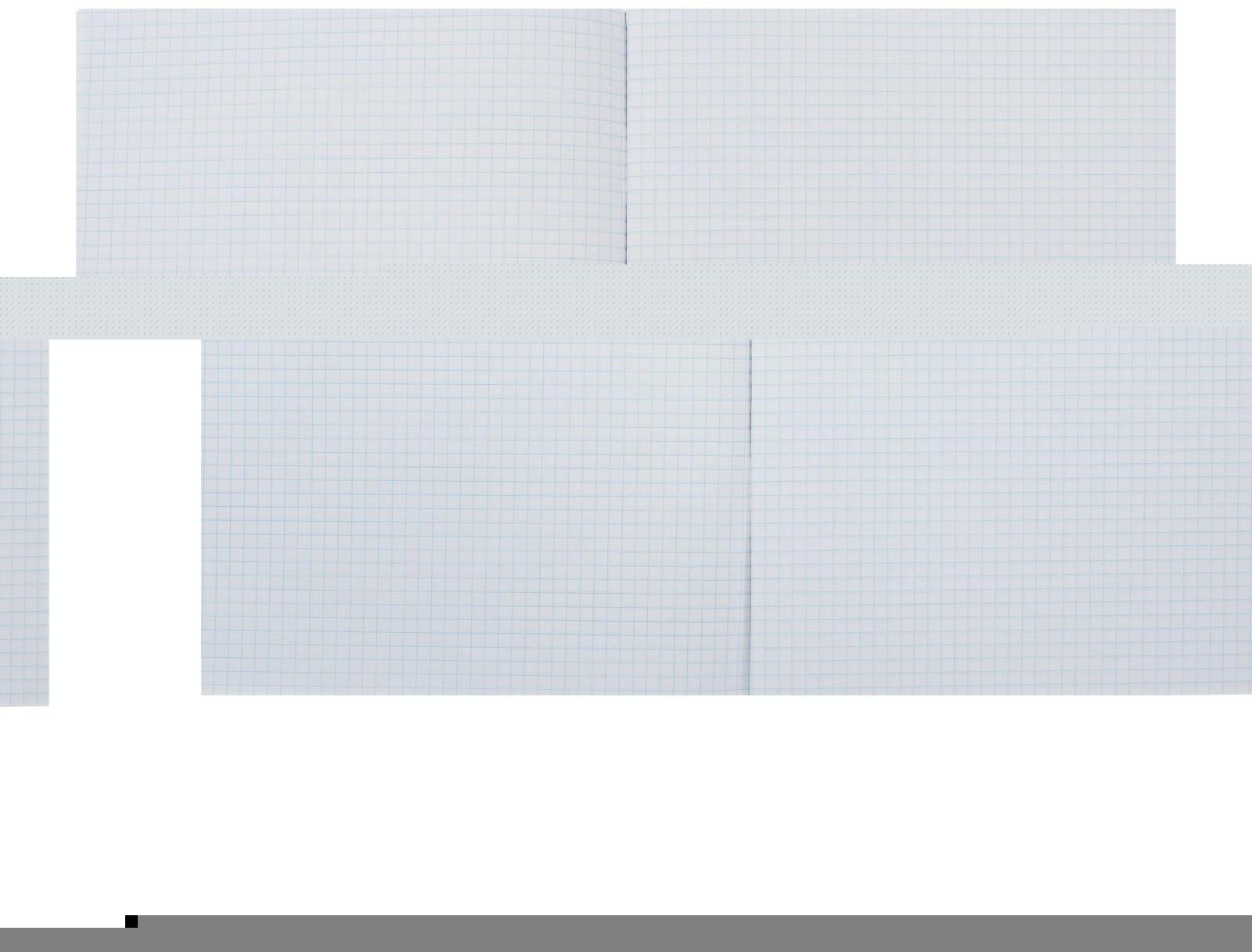 Тетрадь А4, 80 листов клетка 