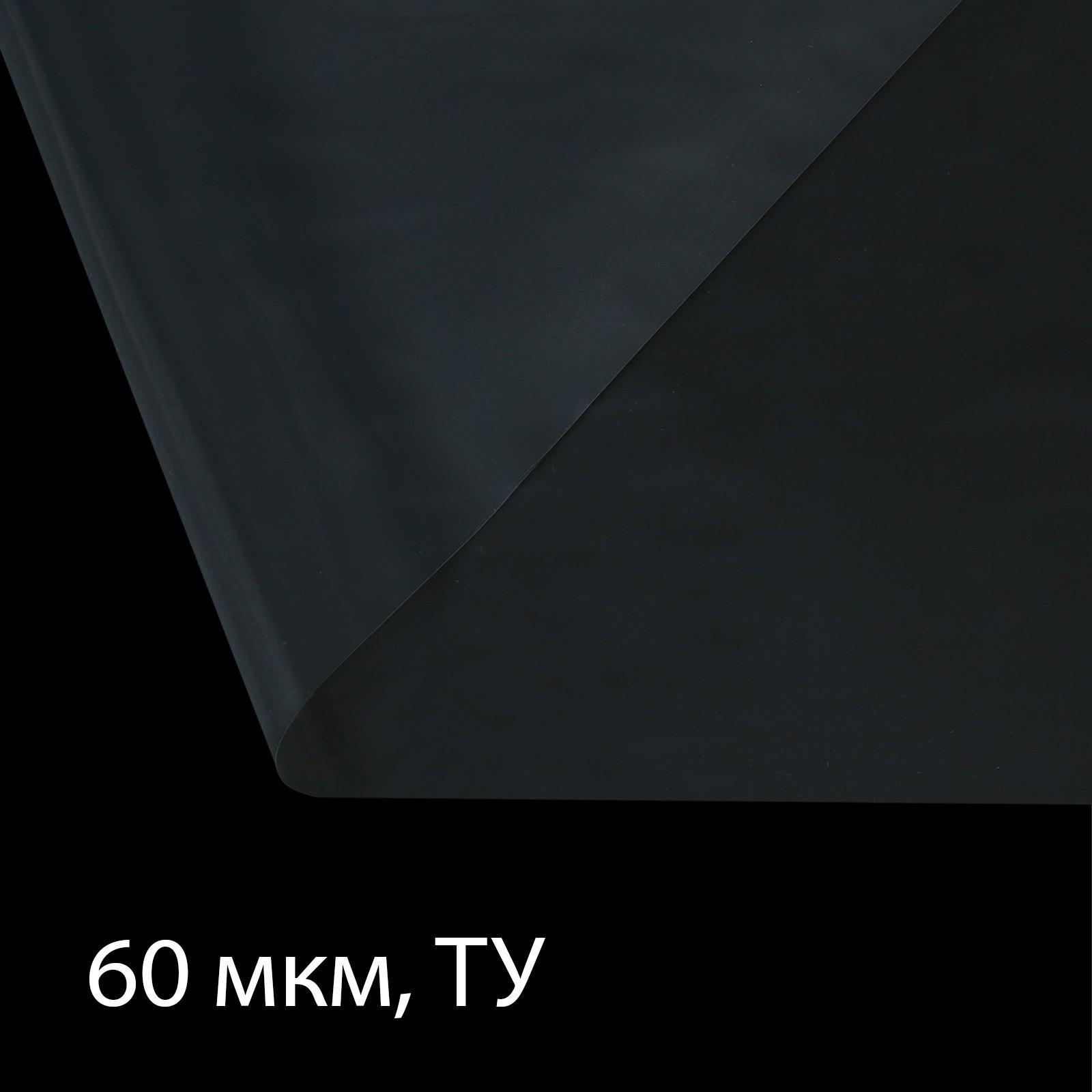 Плёнка полиэтиленовая, толщина 60 мкм, 3 × 100 м, рукав (1,5 м × 2), прозрачная, 1 сорт, Эконом 50 %