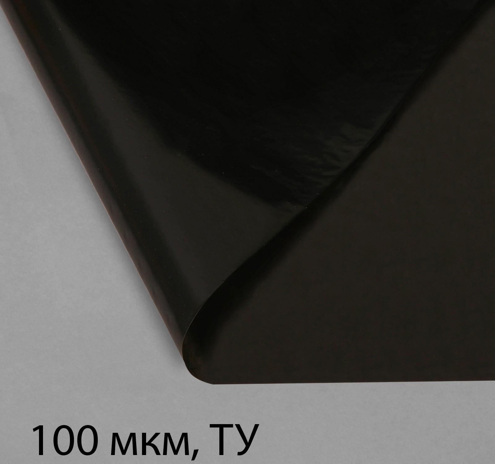 Плёнка полиэтиленовая, техническая, толщина 100 мкм, 10 × 3 м, рукав (2 × 1,5 м), чёрная, 2 сорт, Эконом 50 %