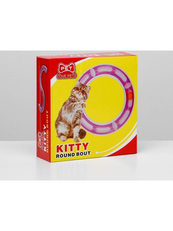 Игрушка для кошек 2 в 1 