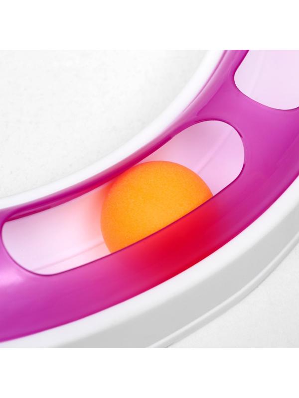 Игрушка для кошек 2 в 1 