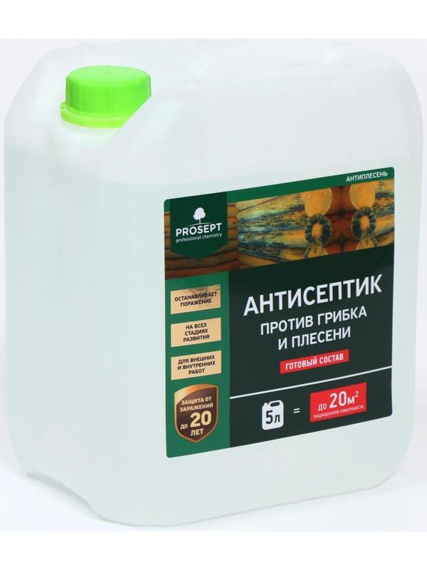 Антисептик универсальный против грибка и плесени, Prosept Антиплесень, готовый раствор, 5 л