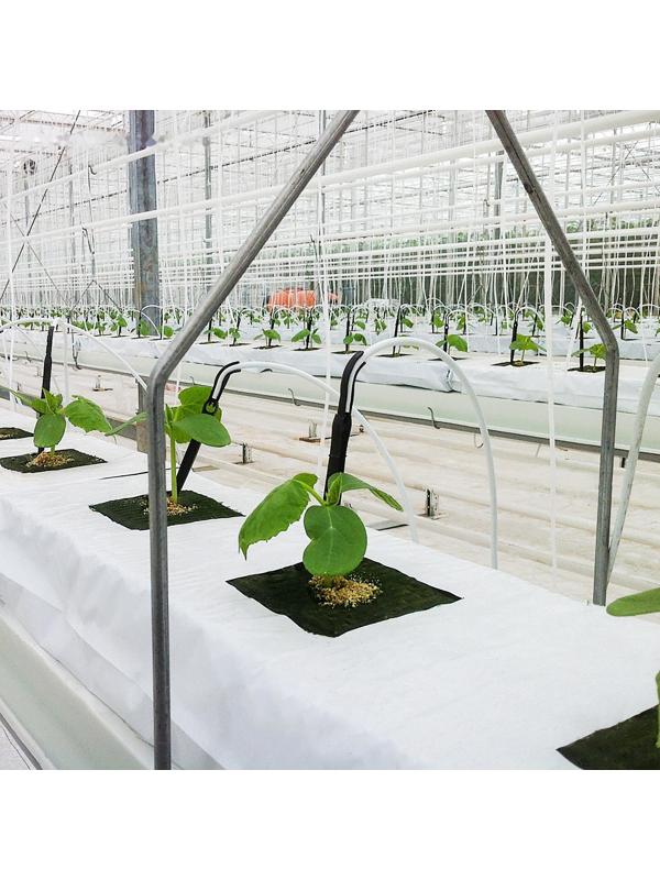 Субстрат минераловатный в мате, для томатов, 100 × 20 × 7.5 см