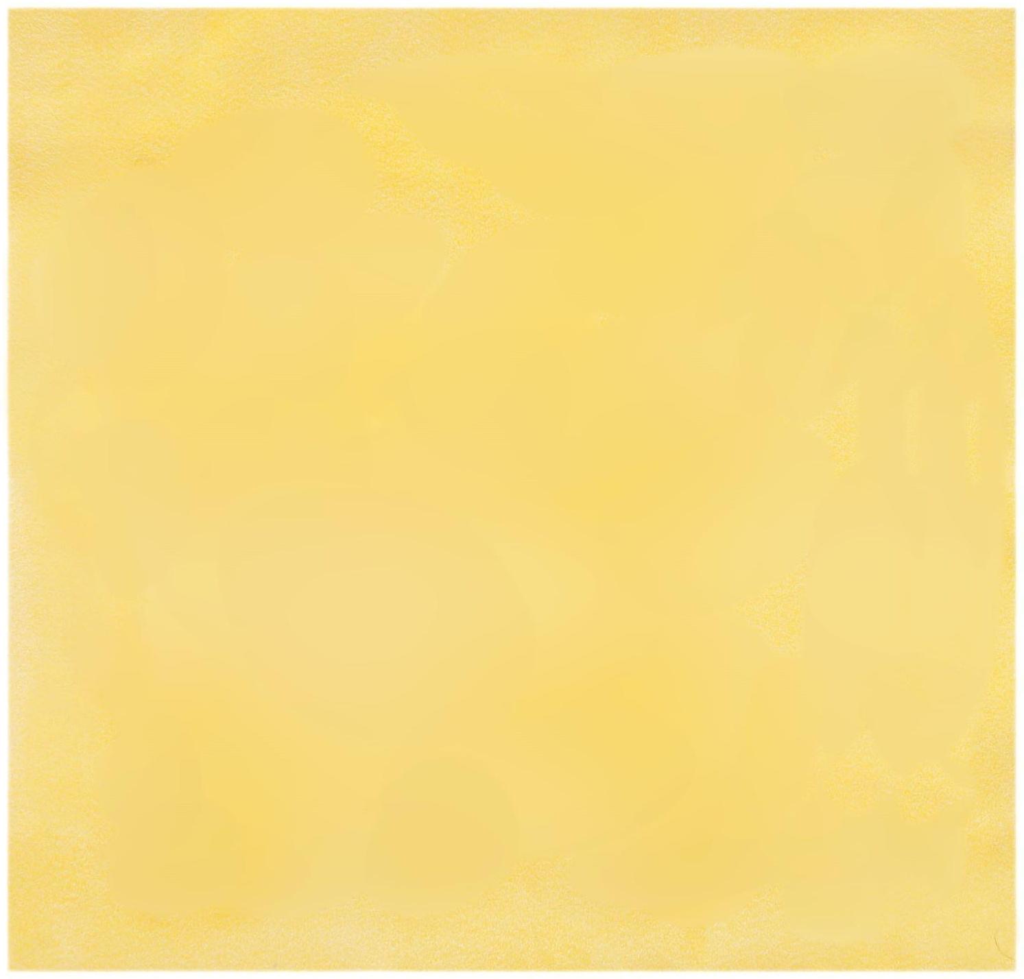 Салфетка из замши и микрофибры Airline в тубе, 45 х 46 см