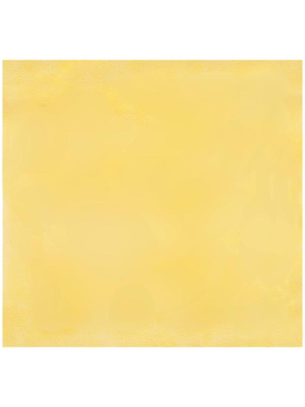 Салфетка из замши и микрофибры Airline в тубе, 45 х 46 см