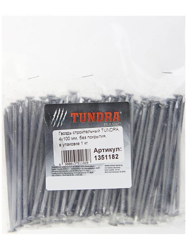 Гвоздь строительный ТУНДРА krep, 4х100 мм, без покрытия, в упаковке 1 кг