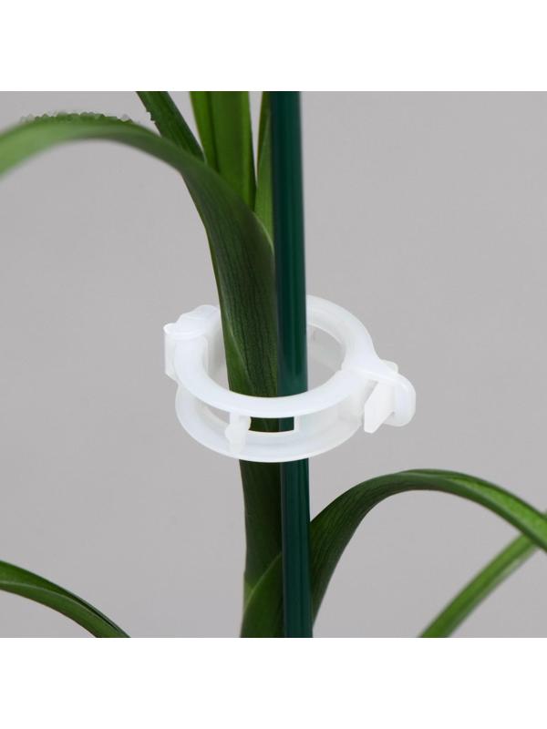 Клипса садовая, d = 15 мм, набор 50 шт, Greengo