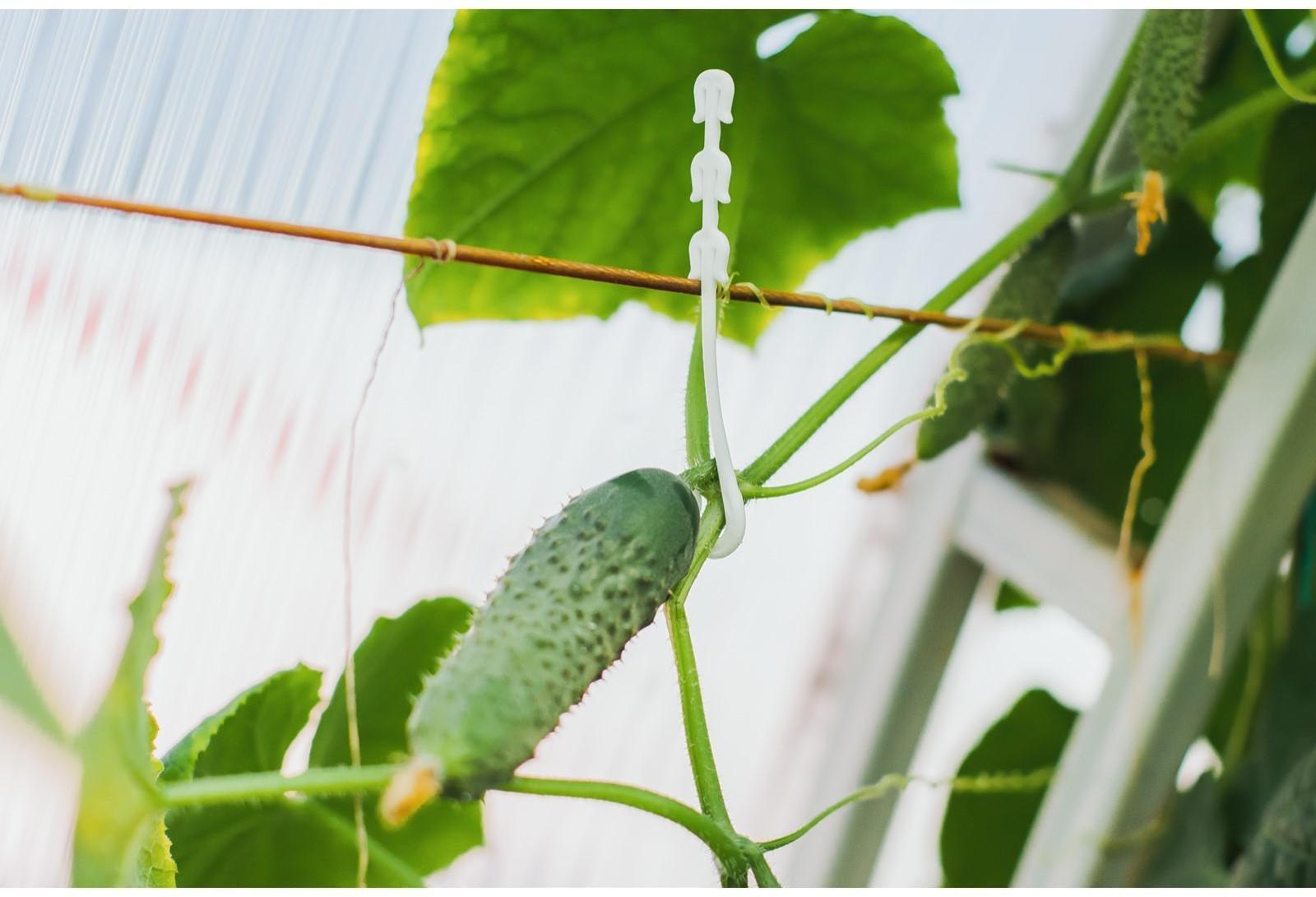 Кистедержатель, набор 50 шт., J-hook