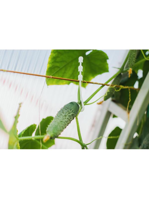 Кистедержатель, набор 50 шт., J-hook