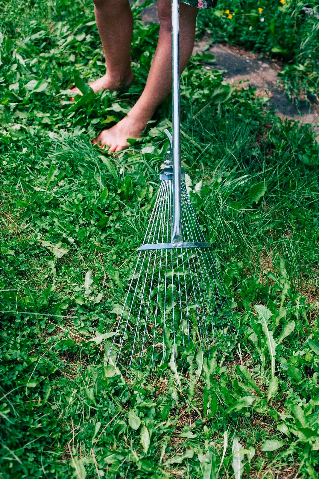 Грабли веерные, проволочные, 15 зубцов, металлические, раздвижные, металлический черенок