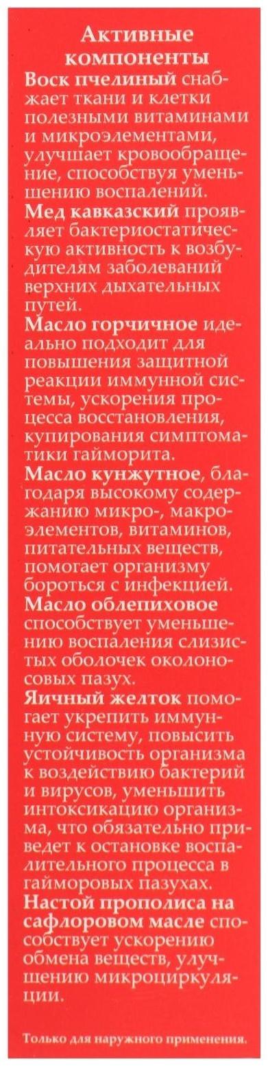 Мазь монастырская «Солох Аул», гайморит и отит, 30 мл