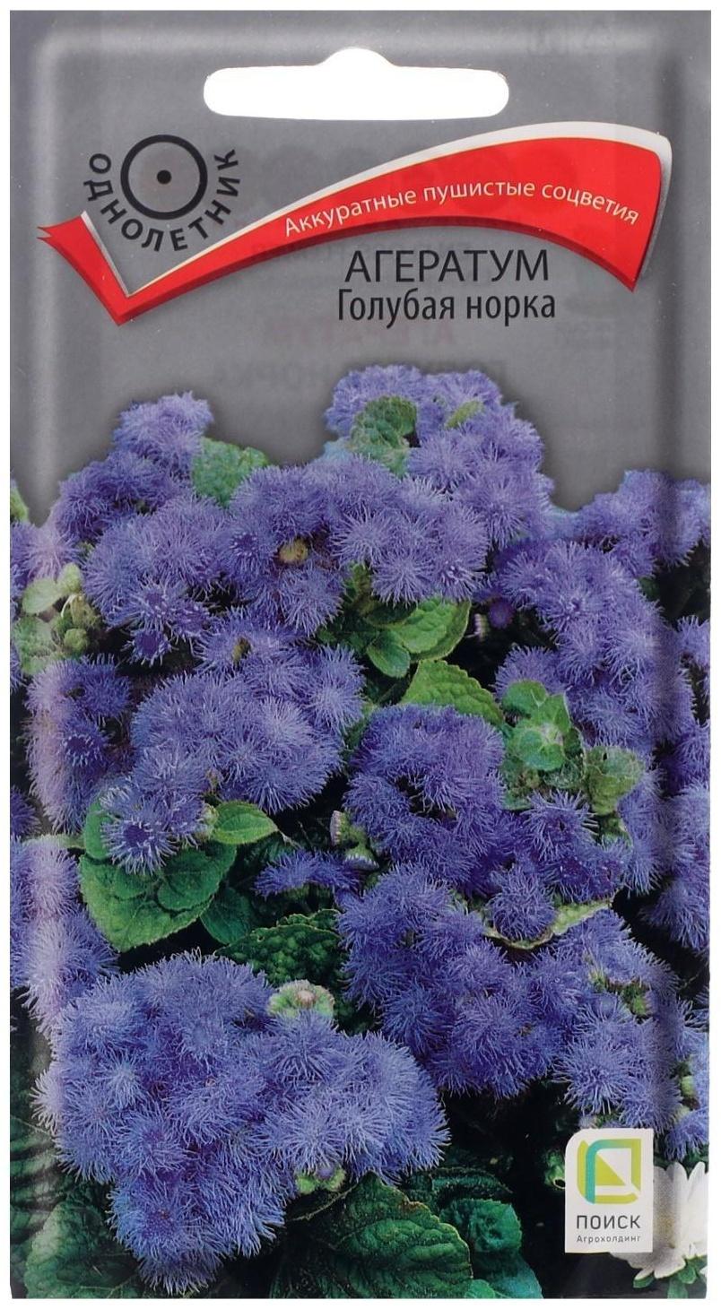 Семена цветов Агератум 