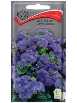 Семена цветов Агератум 