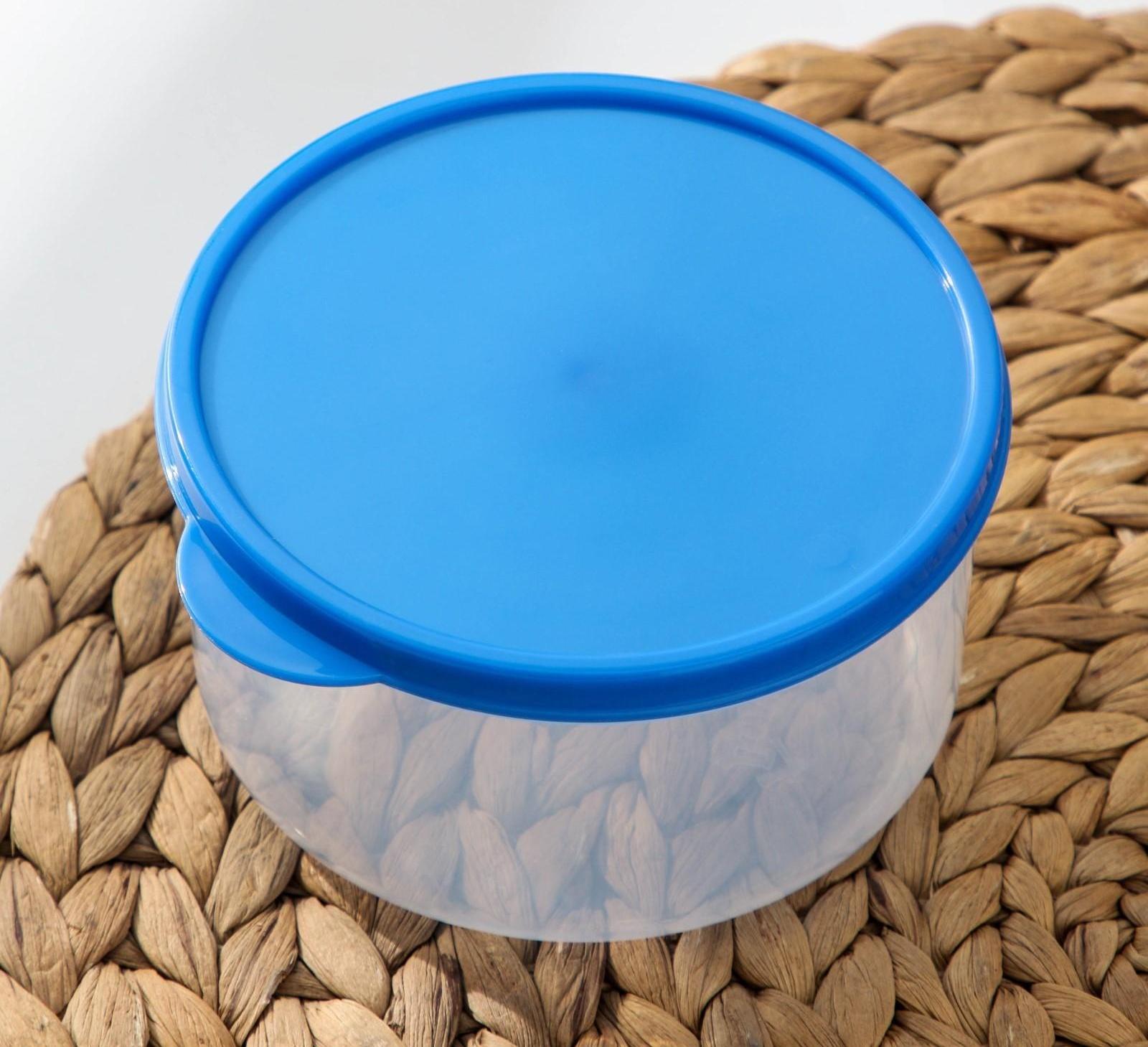 Контейнер круглый Доляна, пищевой, 500 мл, цвет синий