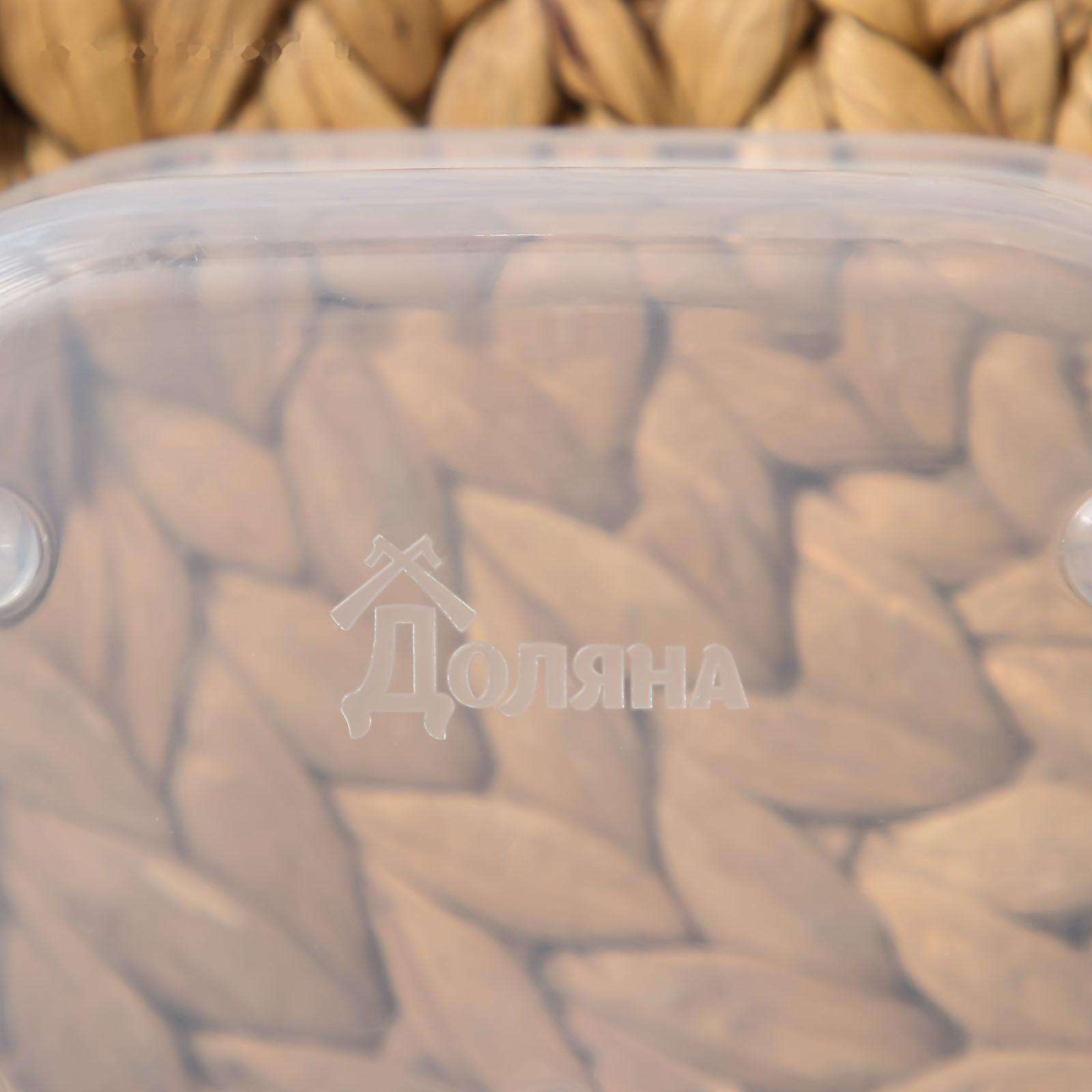 Контейнер квадратный Доляна, пищевой, 700 мл, цвет цвет синий