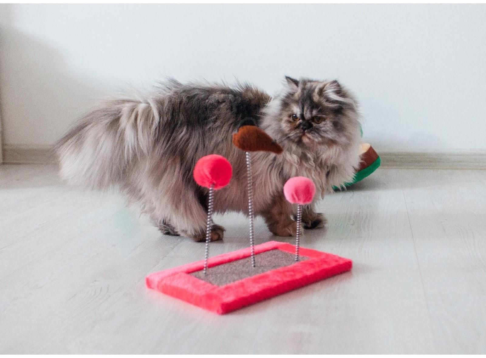 Игрушка для кошек с 3 дразнилками и когтеточкой, 27 х 15,5 х 25 см  микс цветов