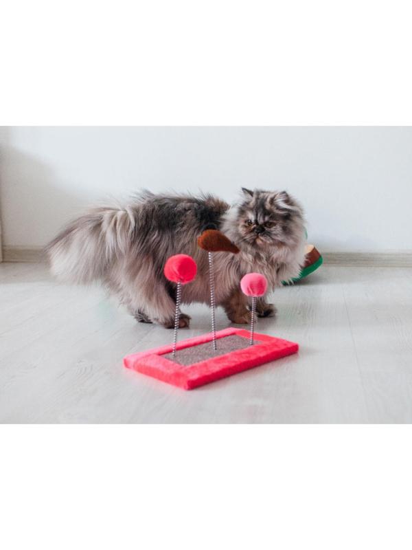 Игрушка для кошек с 3 дразнилками и когтеточкой, 27 х 15,5 х 25 см  микс цветов