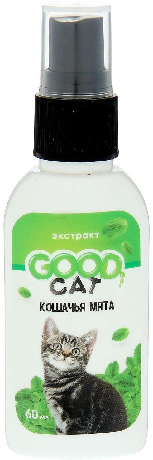 Экстракт кошачьей мяты Good Cat, 60 мл.