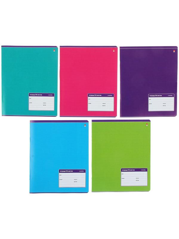 Тетрадь 18 листов в линейку 