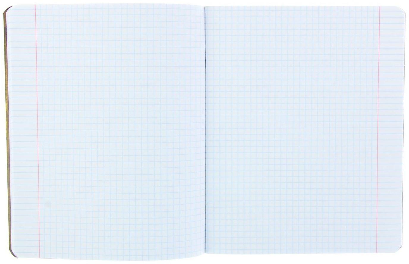 Тетрадь 48 листов в клетку 