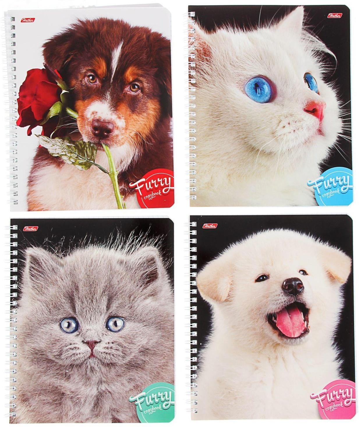 Тетрадь 80 листов, в клетку, на гребне, 