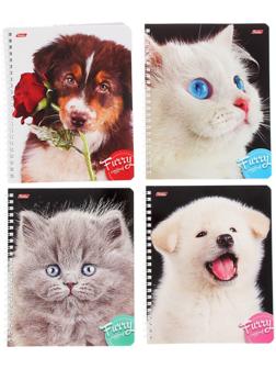 Тетрадь 80 листов, в клетку, на гребне, 