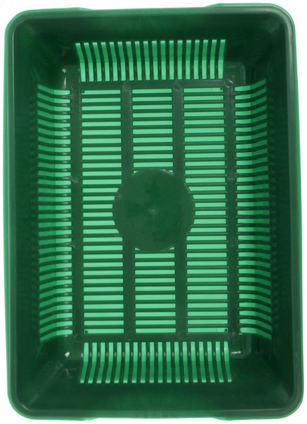 Туалет глубокий с сеткой 36 х 25 х 9 см, зеленый
