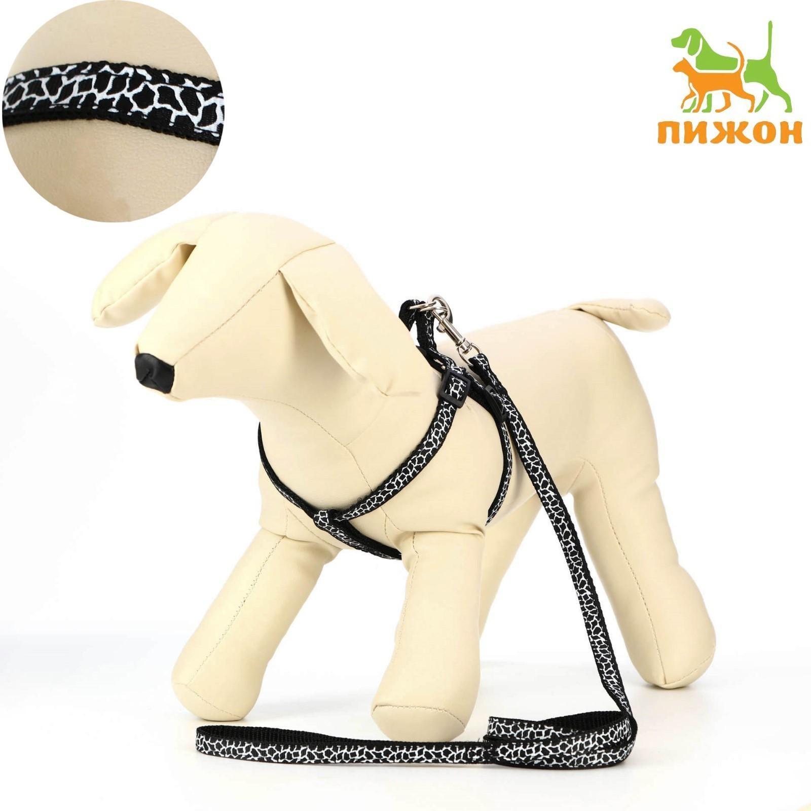 Комплект прошитый 