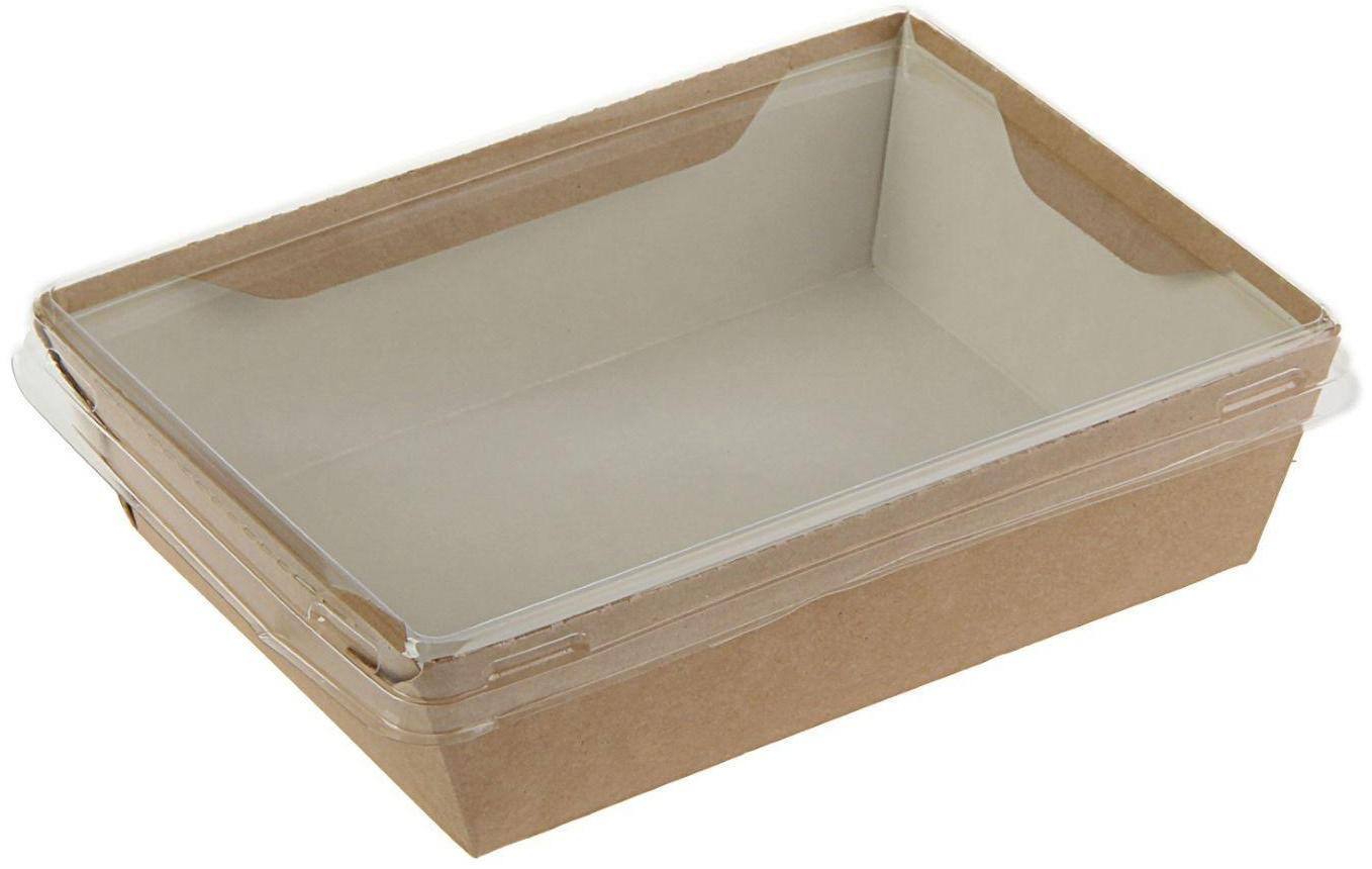 Упаковка, салатник с прозрачной крышкой, 16,5 х 12 х 4,5 см, 0,5 л