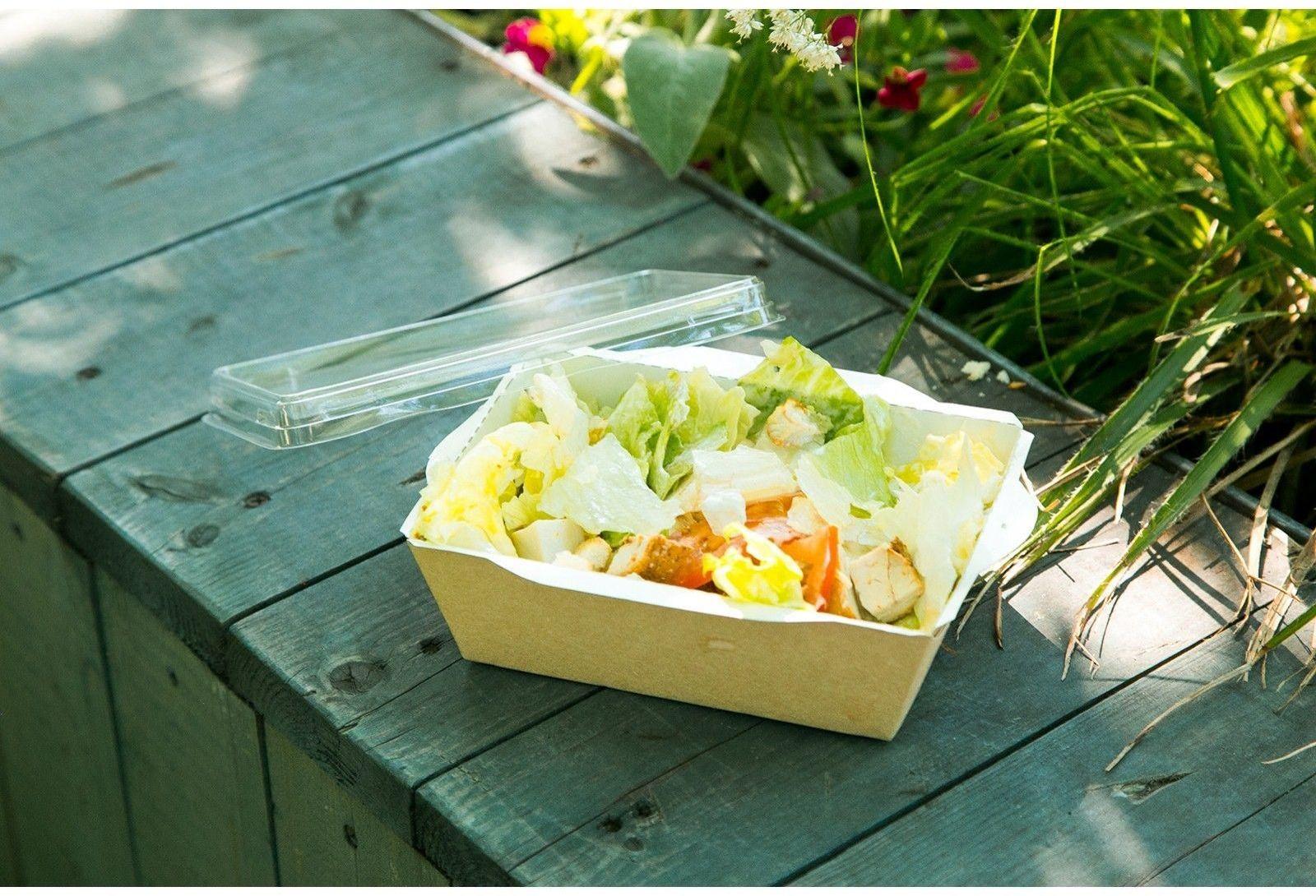 Упаковка, салатник с прозрачной крышкой, 16,5 х 12 х 4,5 см, 0,5 л