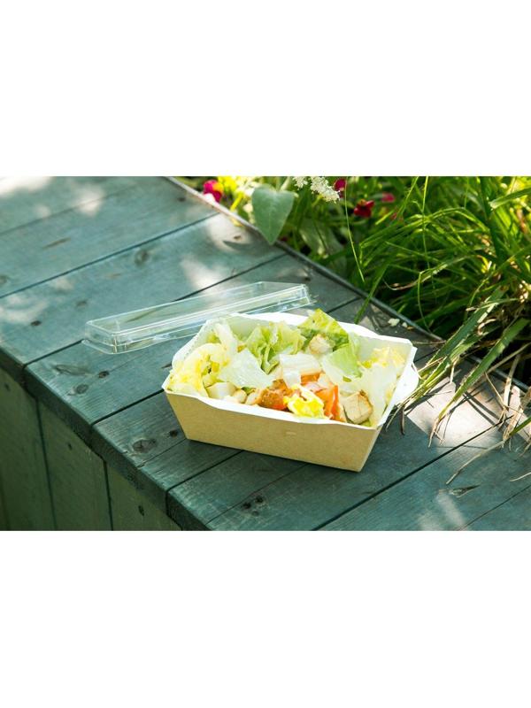 Упаковка, салатник с прозрачной крышкой, 16,5 х 12 х 4,5 см, 0,5 л