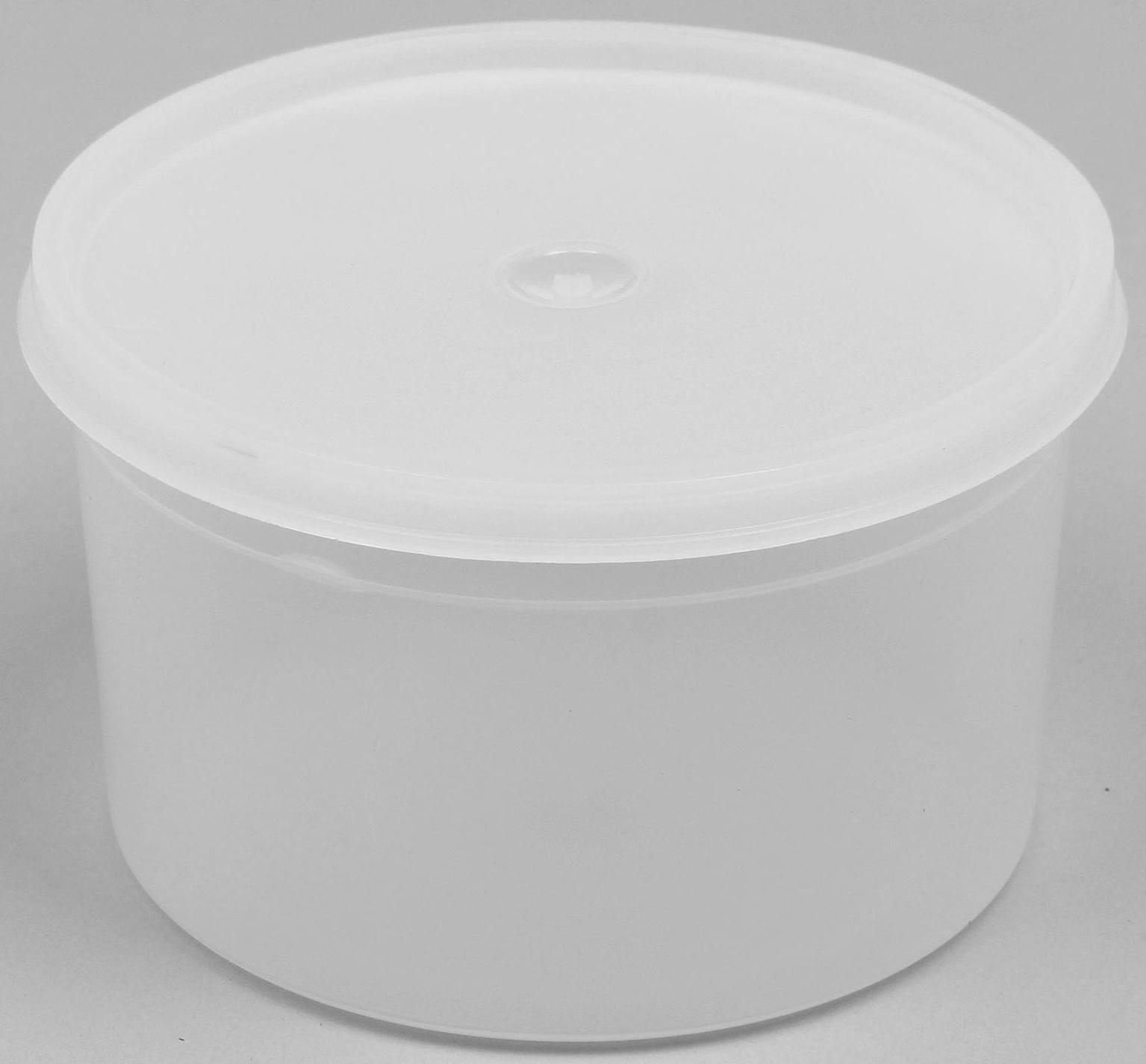 Контейнер пищевой, 600 мл, с герметичной крышкой