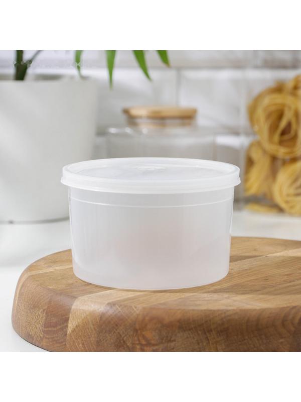 Контейнер пищевой, 600 мл, с герметичной крышкой