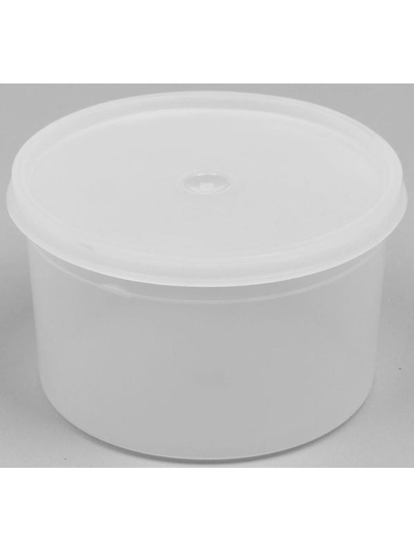 Контейнер пищевой, 600 мл, с герметичной крышкой