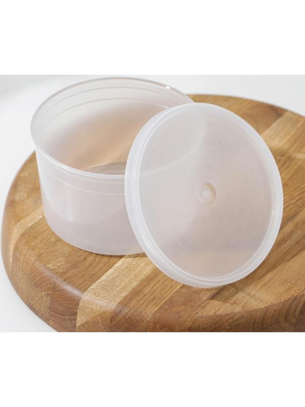 Контейнер пищевой, 600 мл, с герметичной крышкой