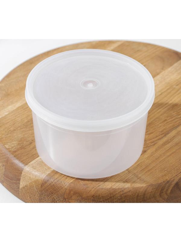 Контейнер пищевой, 600 мл, с герметичной крышкой