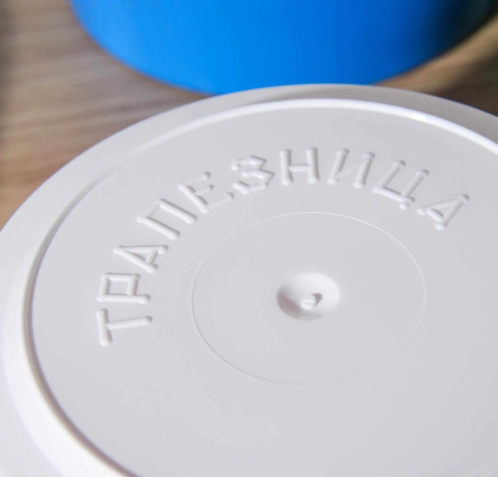 Набор пищевых контейнеров «Трапезница», 3 шт: 0,6 л, 2 шт - 1 л, цвет МИКС