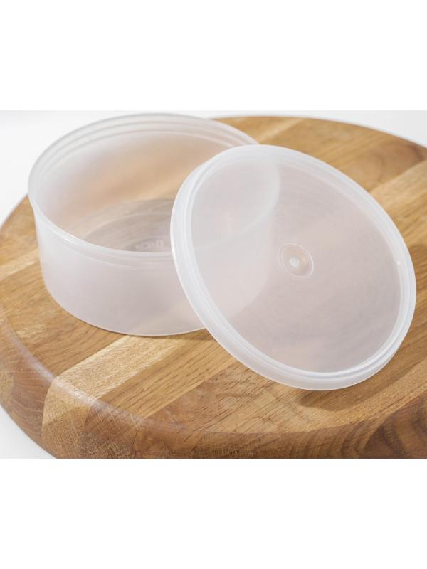 Контейнер пищевой, 450 мл, с герметичной крышкой