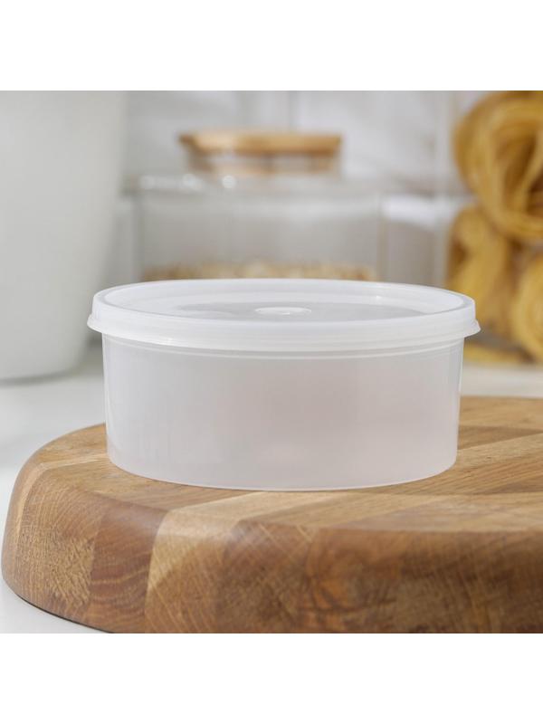 Контейнер пищевой, 450 мл, с герметичной крышкой