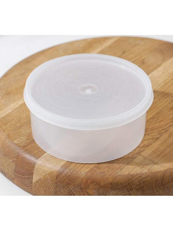 Контейнер пищевой, 450 мл, с герметичной крышкой