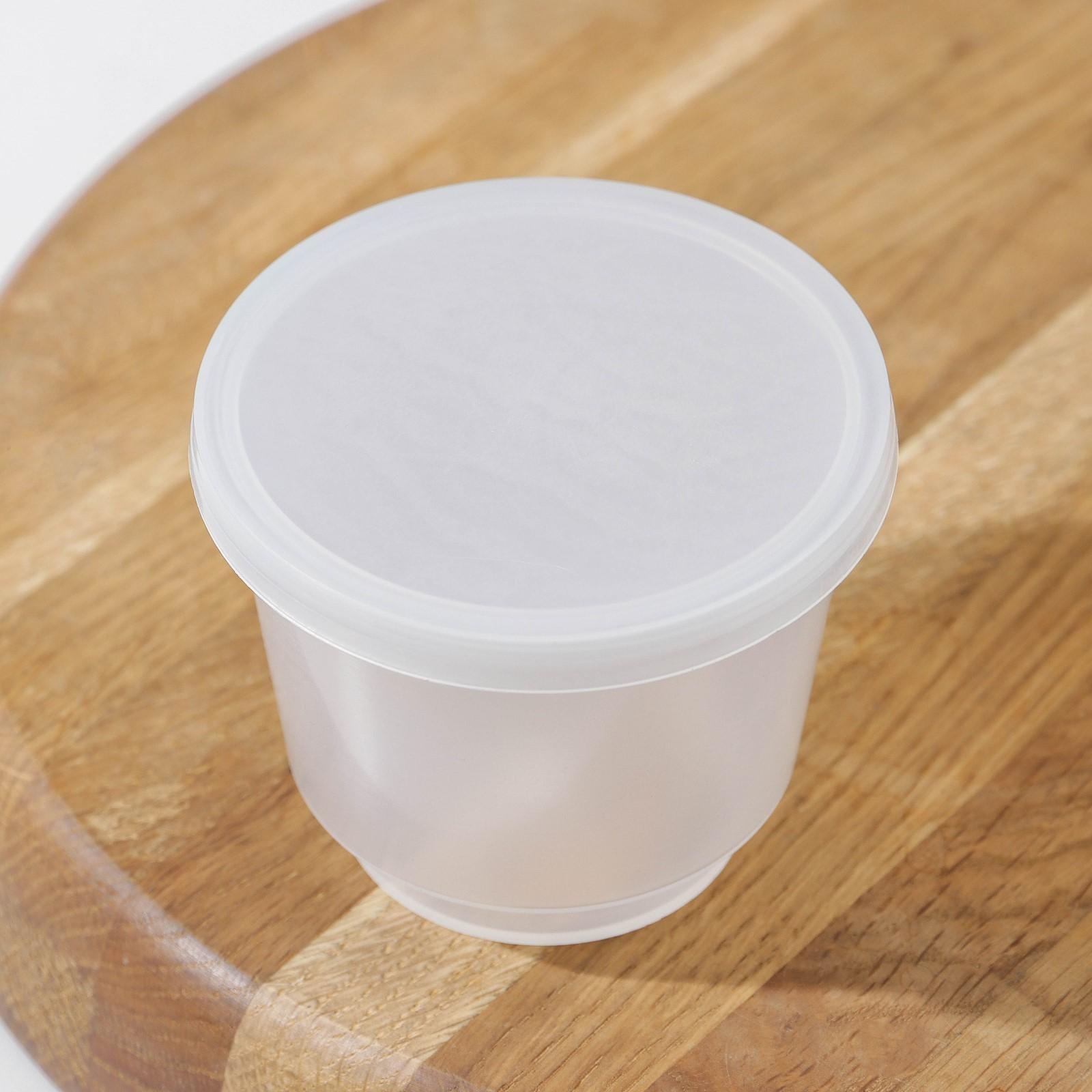 Контейнер пищевой ПластоС, 250 мл, с герметичной крышкой