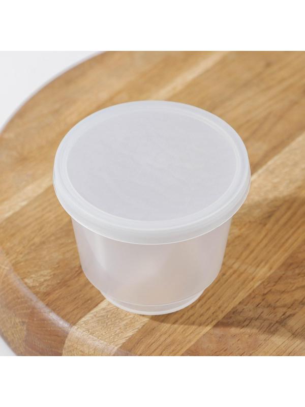 Контейнер пищевой ПластоС, 250 мл, с герметичной крышкой