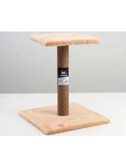 Когтеточка 